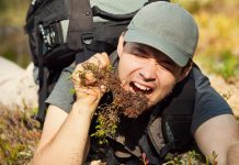 Tips And Tricks Build To Survive Alive Build To Survive