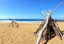 Safety Measures To Opt For Surviving In The Woods Surviving In The Woods