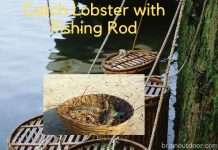 How to Catch Lobster with Fishing Rod – All About Fishing Catch Lobster with Fishing Rod