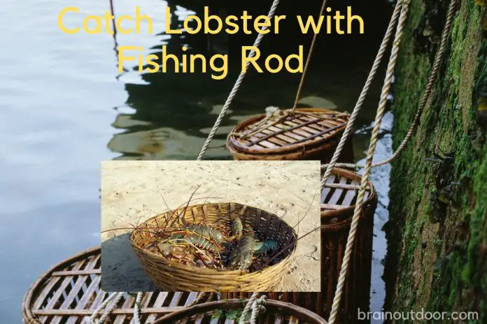 Catch Lobster with Fishing Rod