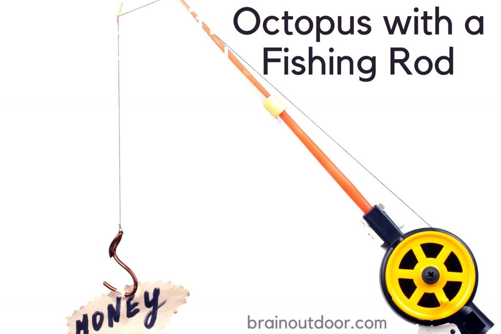 Catch Octopus With A Fishing Rod