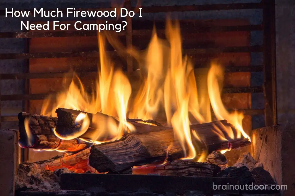 How Much Firewood Do I Need For Camping