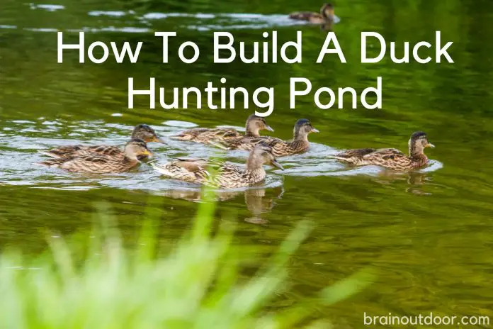 How To Build A Duck Hunting Pond