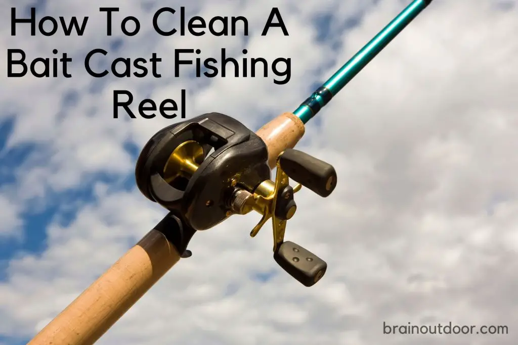 How To Clean A Bait Cast Fishing Reel