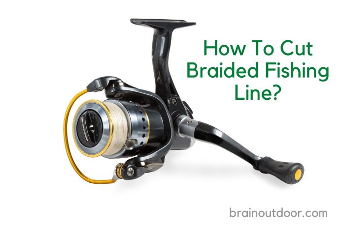 How To Cut Braided Fishing Line