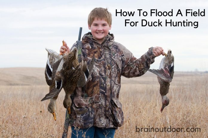 How To Flood A Field For Duck Hunting