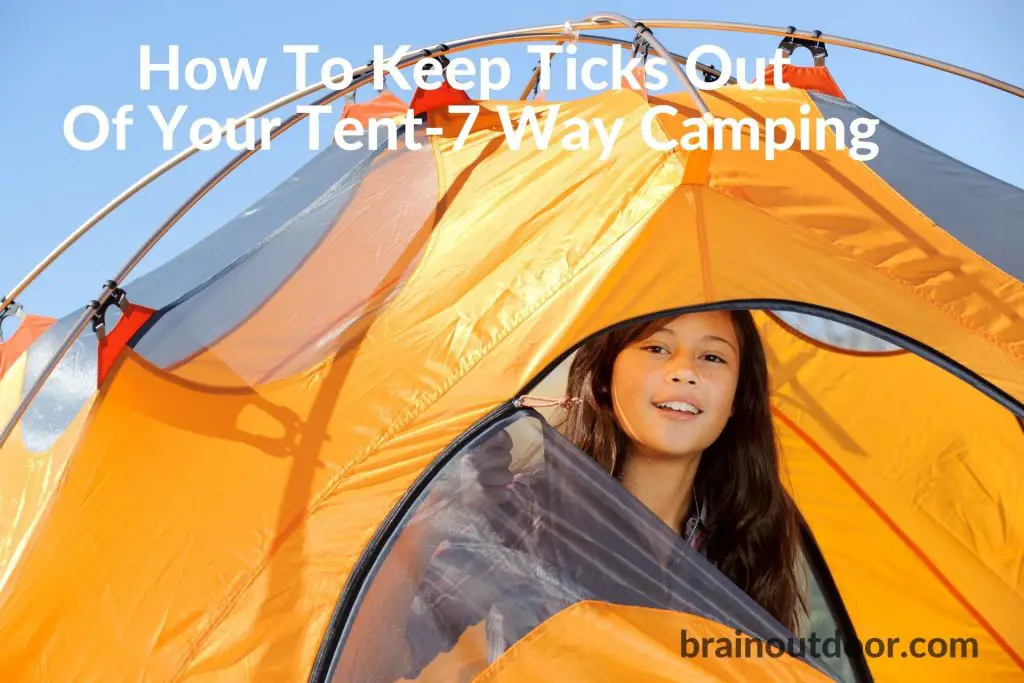 How To Keep Ticks Out Of Your Tent-7 Way Camping
