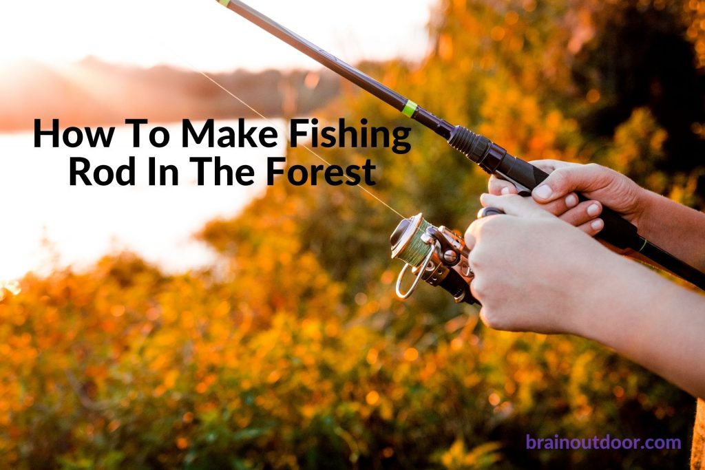 How To Make Fishing Rod In The Forest