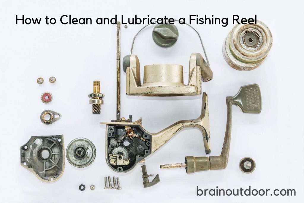 How to Clean and Lubricate a Fishing Reel